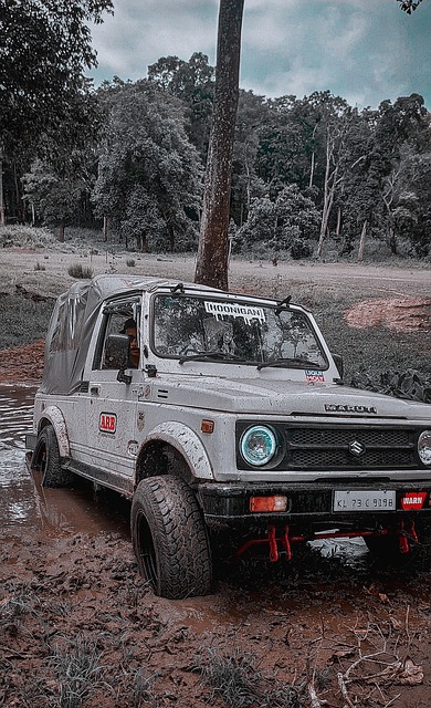 法蘭克福便 法蘭克福便