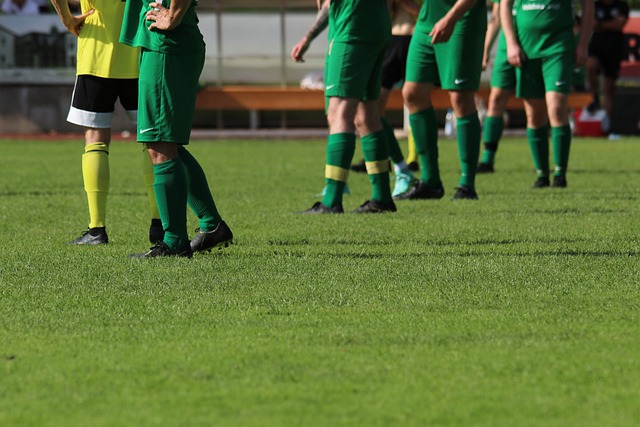 再次证明了 再次证明了