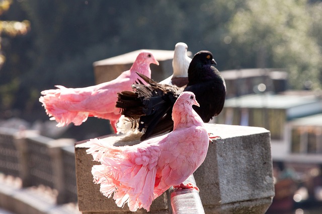 具体案例分 具体案例分