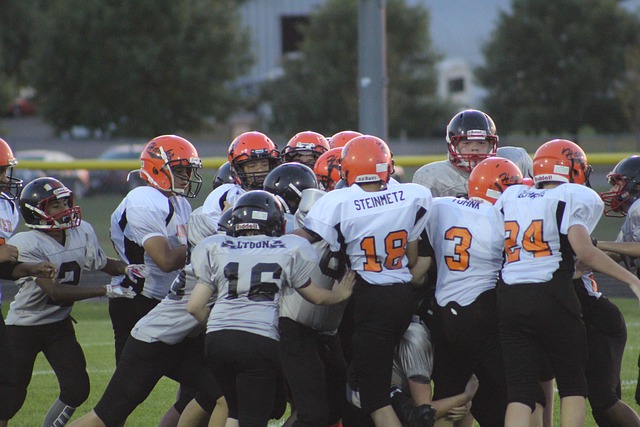 并最终赢得 并最终赢得