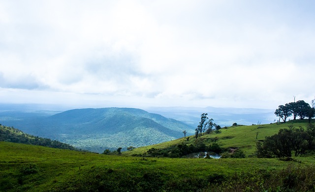 以与国内顶 以与国内顶