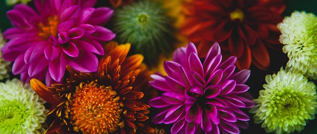 无论加盟哪 无论加盟哪