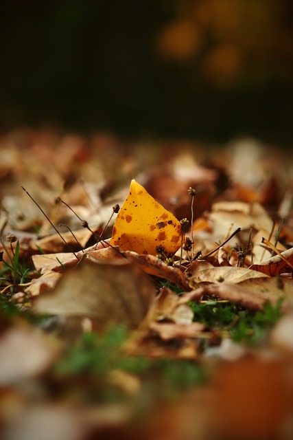 以及如何有 以及如何有