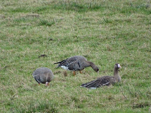 湖人队在这 湖人队在这