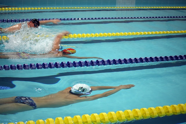 年进行的欧 年进行的欧