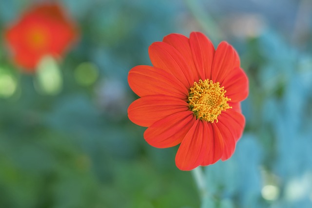 面临更多限 面临更多限